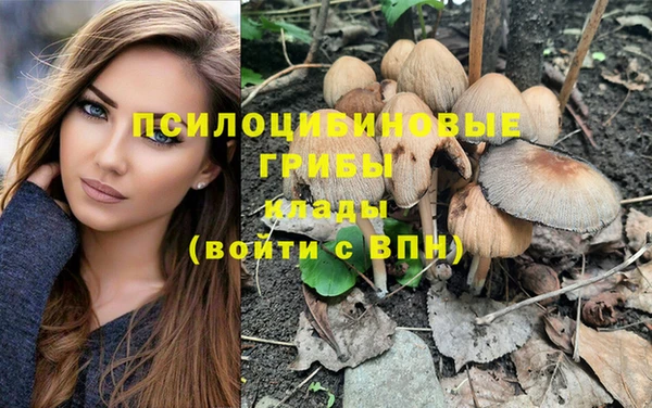 амф Алексеевка