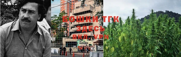 прущие грибы Алексин